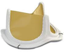 Bio Prosthetic Valve